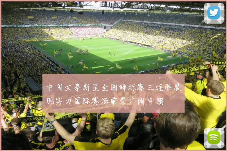 中国女拳新星全国锦标赛三连胜展现实力国际赛场前景广阔可期